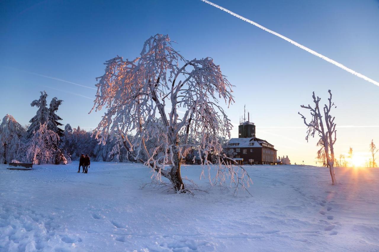 The Suite Winterberg Deluxe - Exklusive Ausstattung, Bestlage Zwischen Skikarussell Und Marktplatz, Eigener Garten, Ski- Und Fahrradraum, Ruhige Suedausrichtung, Wlan, Hundefreundlich Exteriér fotografie