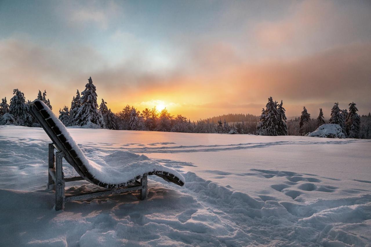 The Suite Winterberg Deluxe - Exklusive Ausstattung, Bestlage Zwischen Skikarussell Und Marktplatz, Eigener Garten, Ski- Und Fahrradraum, Ruhige Suedausrichtung, Wlan, Hundefreundlich Exteriér fotografie