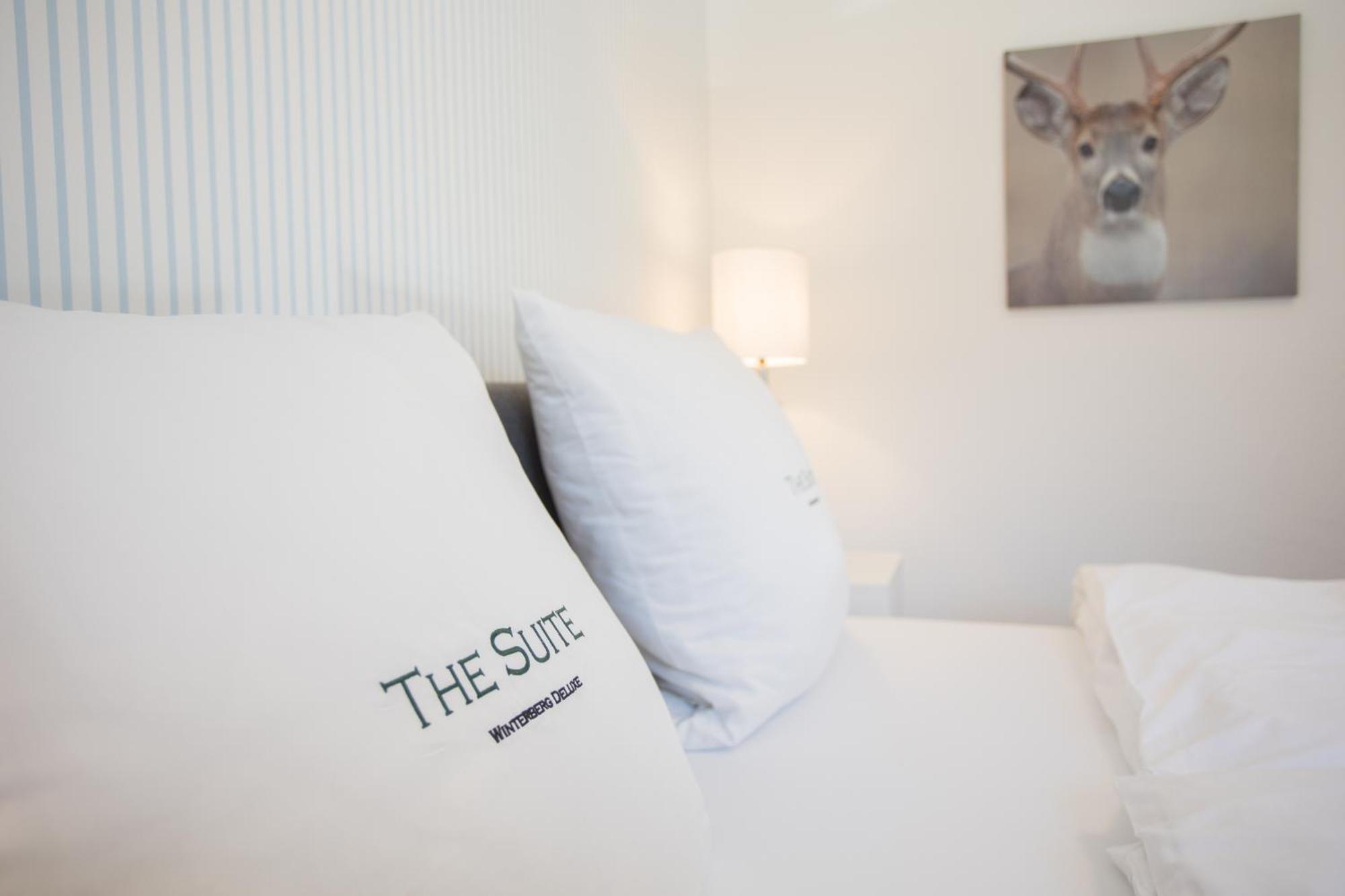 The Suite Winterberg Deluxe - Exklusive Ausstattung, Bestlage Zwischen Skikarussell Und Marktplatz, Eigener Garten, Ski- Und Fahrradraum, Ruhige Suedausrichtung, Wlan, Hundefreundlich Exteriér fotografie